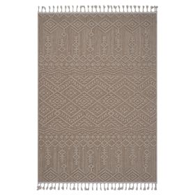 6X9 Natural /Traditional Indoor/Outdoor Area Rug