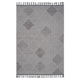 6X9 White/Grey /Trellis Indoor/Outdoor Area Rug